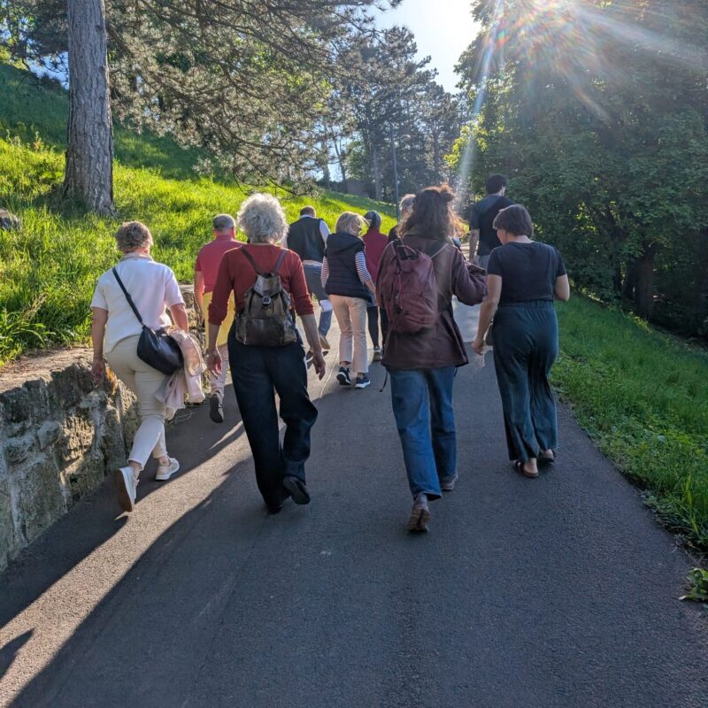 Am Bild sind gehende Menschen zu sehen. Sie gehen auf einem asphaltierten Weg. Daneben sind grüne Wiesen und Bäume zu sehen. Die Sonne scheint. Die Gehenden sind von hinten zu sehen.